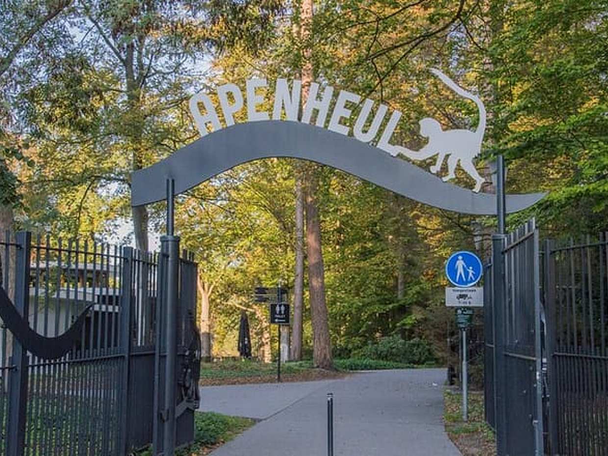 "Transfer privado: Amesterdão para Arnhem, 2h Paragem no Parque Apenheul nos Países Baixos", photo 3