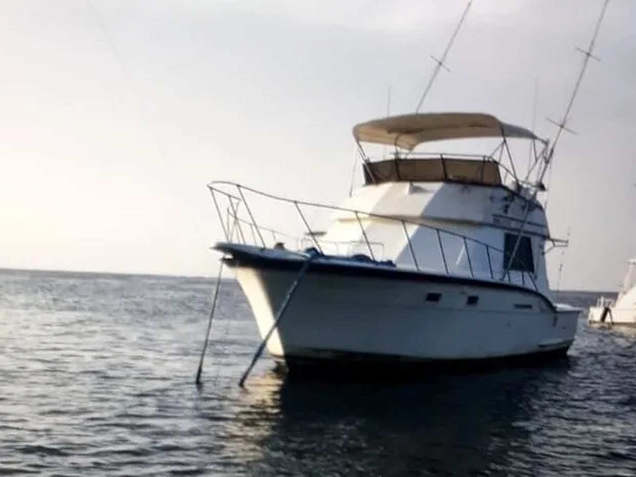 Private Fishing Tour Punta Cana in Dominican Republic, photo 4