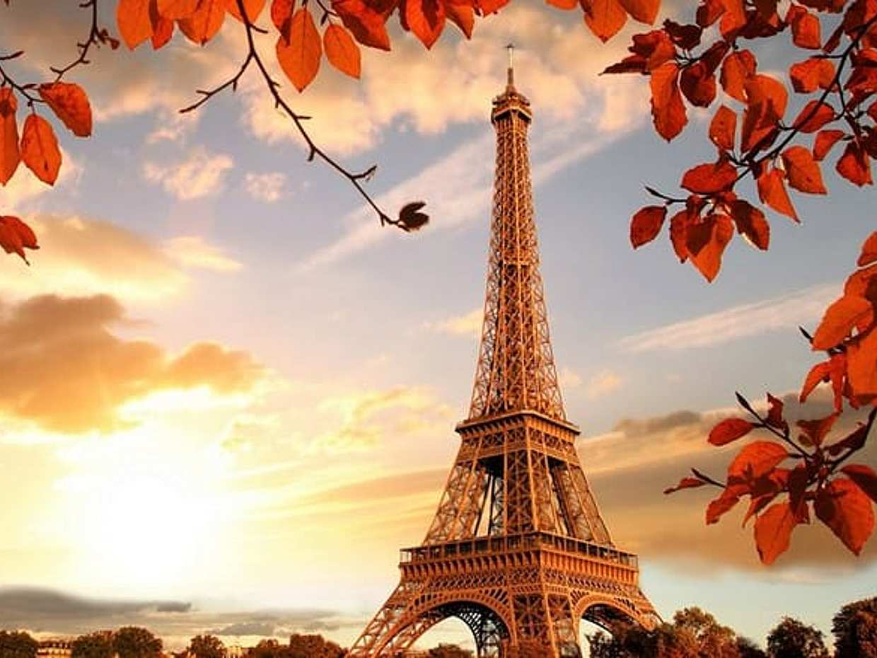Paris: Tour privado de 3 horas con crucero por el río Sena