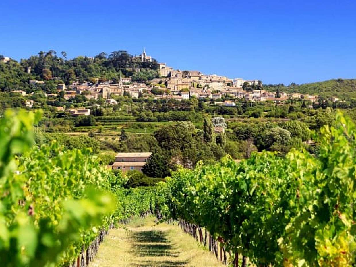 Antibes Shore Excursion: Private Provence Wine Experience