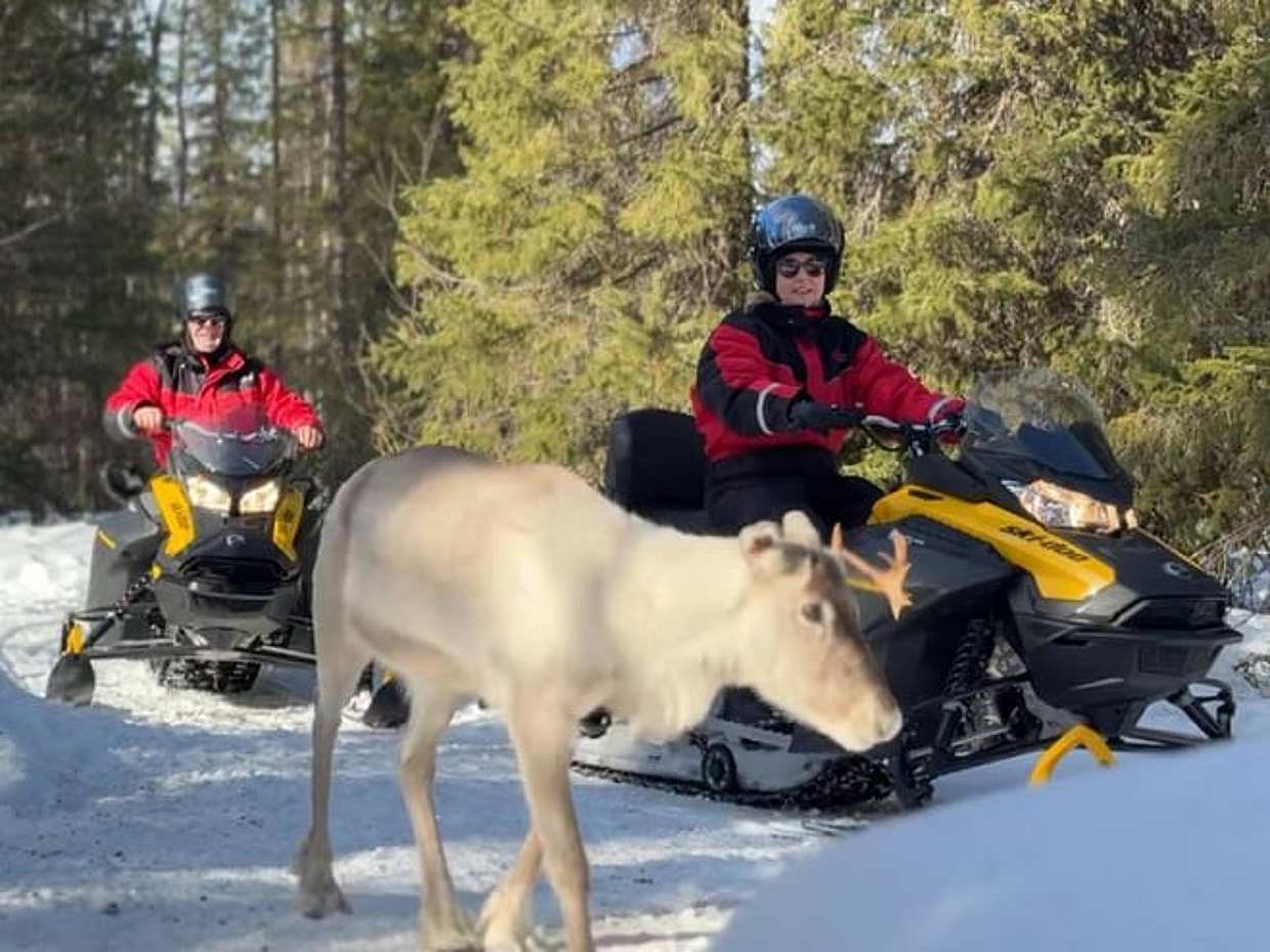 Snowmobile Safari to Reindeer Farm, Levi — authentic local experience