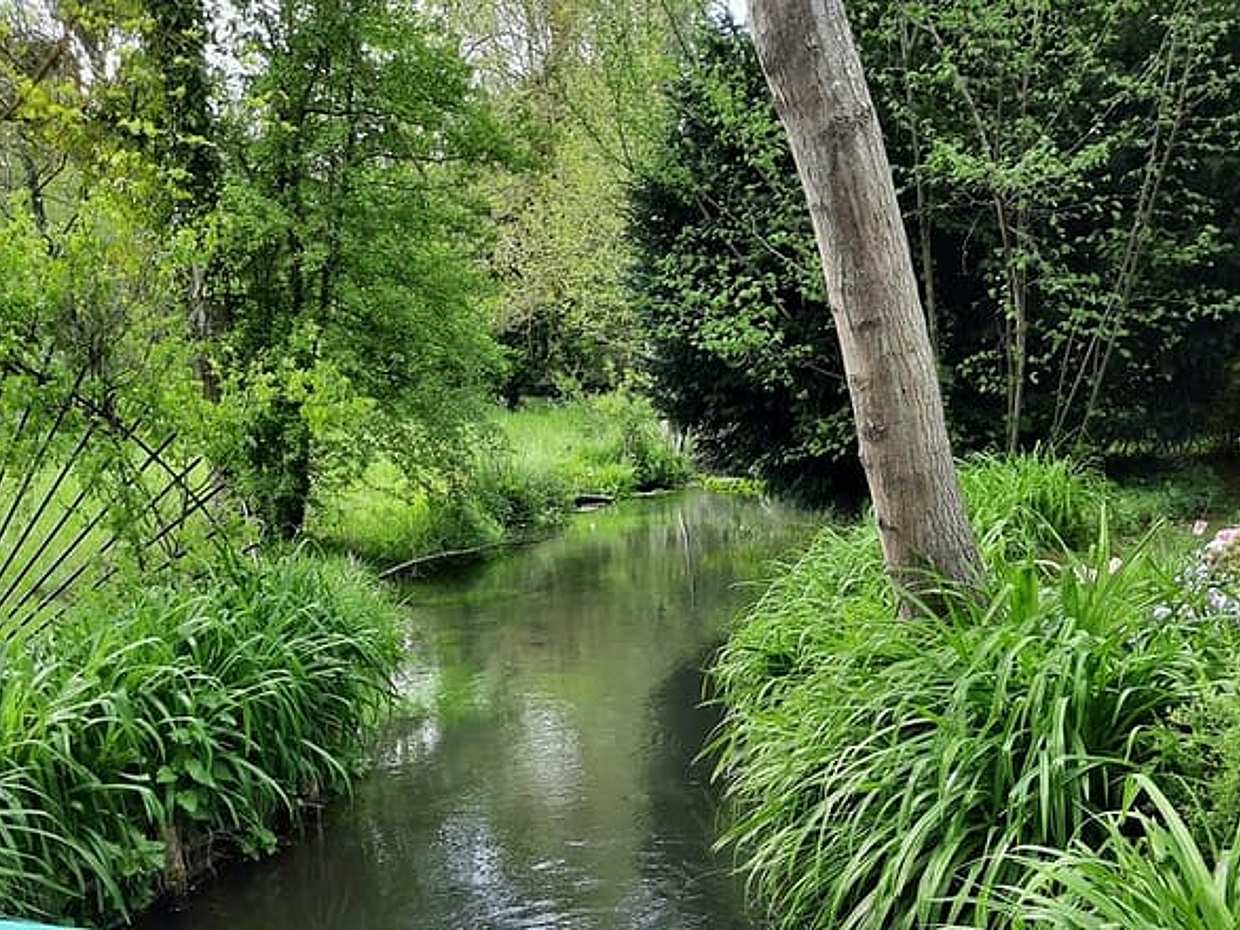 Private Giverny Trip and Entrance Ticket from Paris, photo 3
