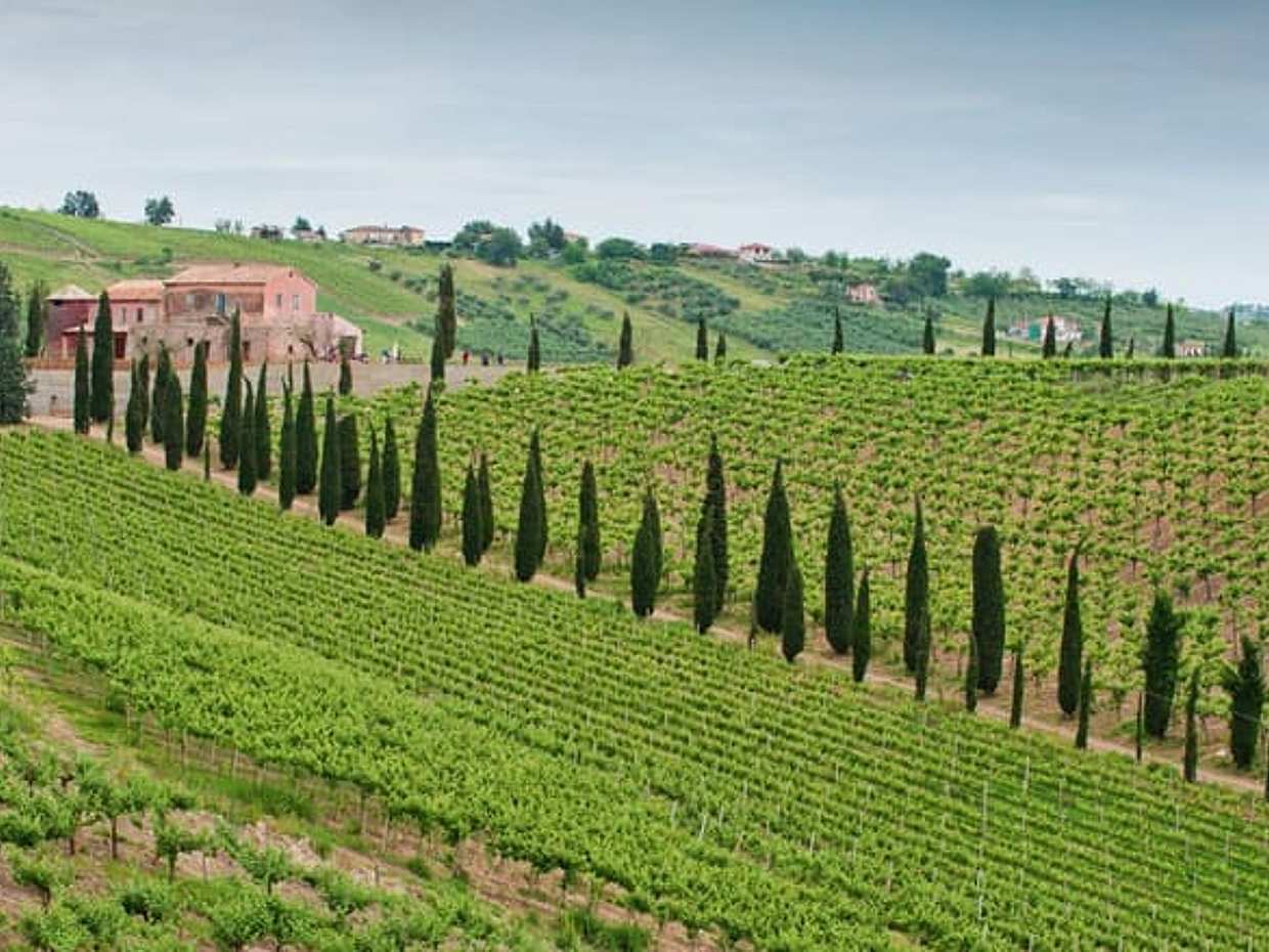 Visit and Tasting at the San Lorenzo's winery, among old houses and of its green coutryside, photo 2