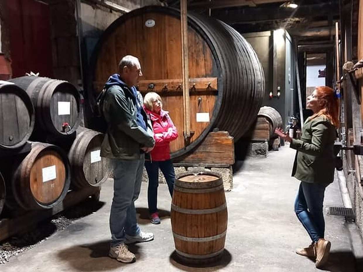 DOURO VALLEY & AMARANTE: Scenic or Wine Experience Private Tour in Portugal, Porto, photo 5