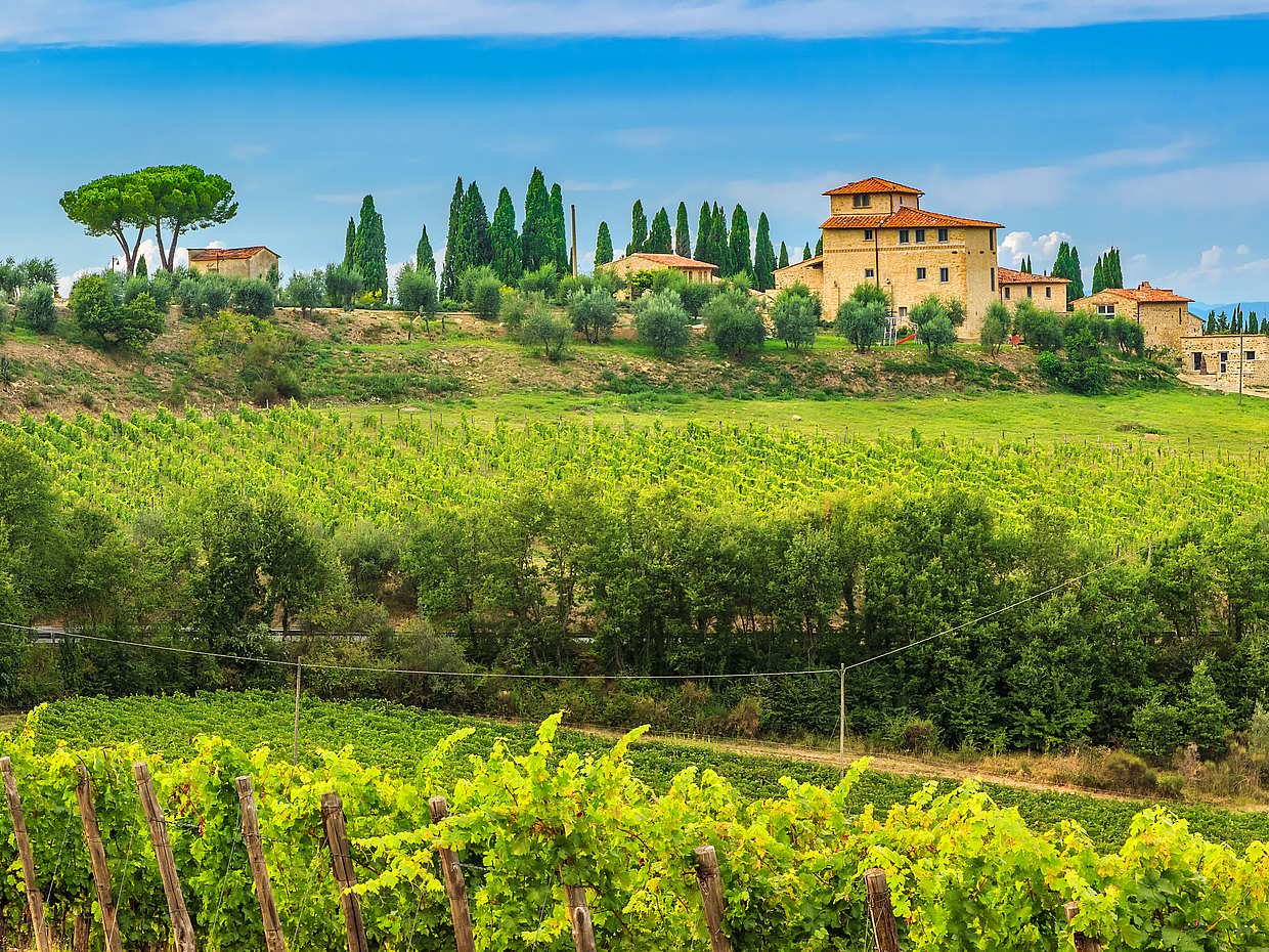 Chianti Wine Tour from Florence in Italy, photo 2