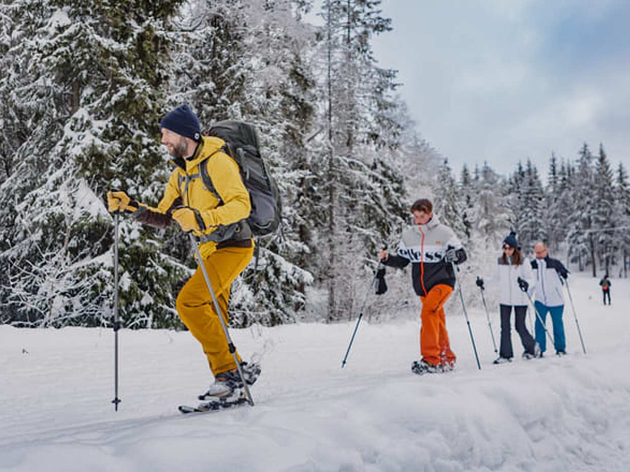 Snowshoe Tour in Winter Wonderland