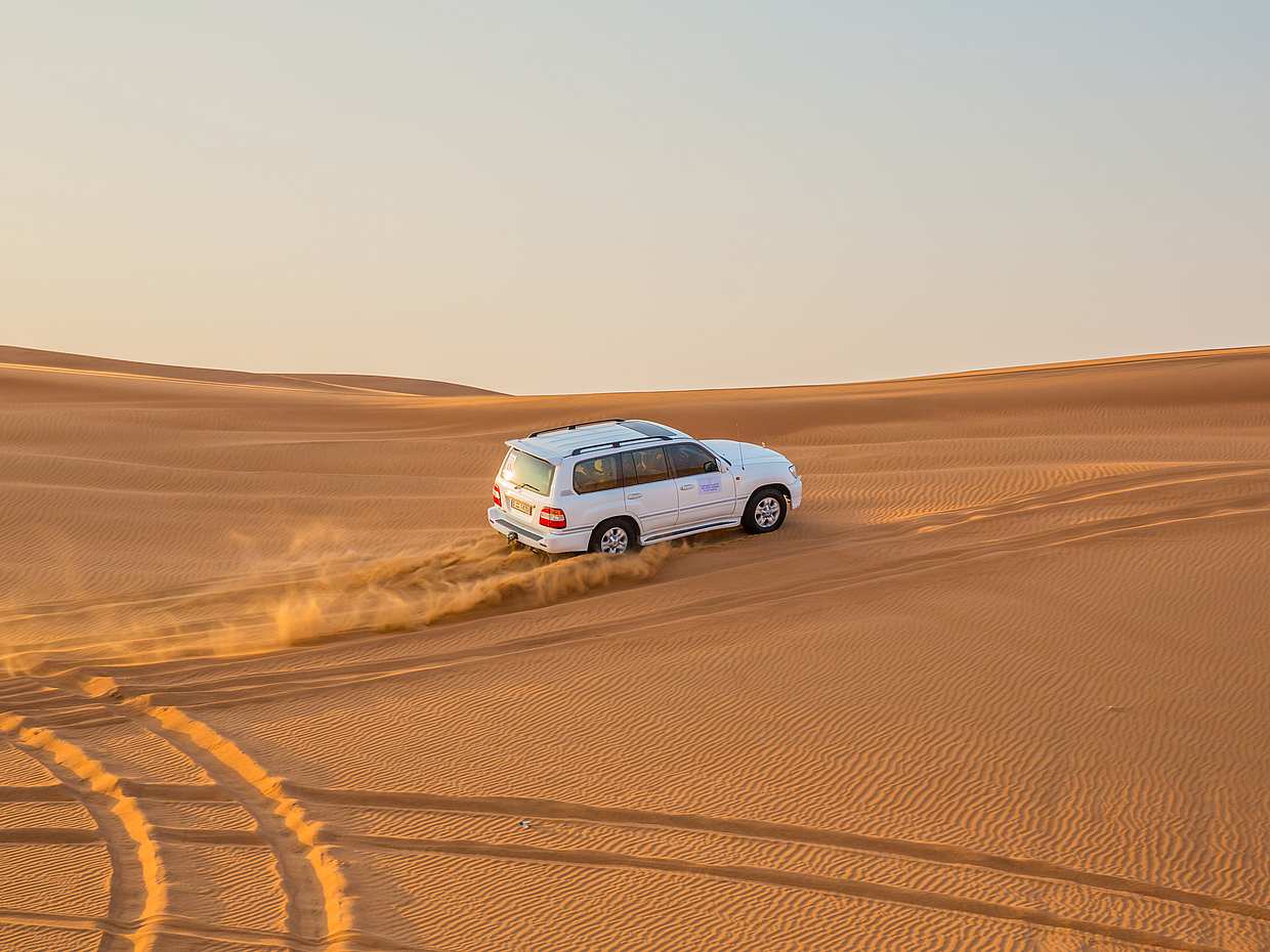 Dagvullende woestijnsafari in Qatar, Doha.
