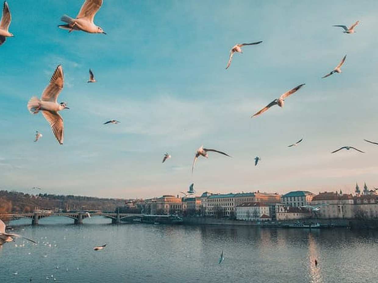 Private Scenic Transfer from Salzburg to Prague with 4h of Sightseeing, photo 4