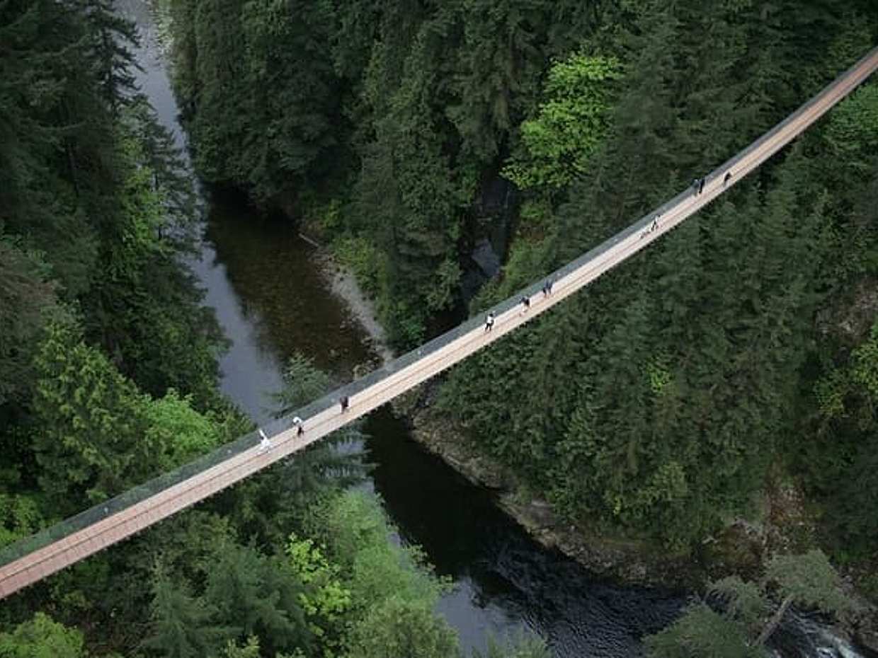 Vancouver Pre & Post Cruise Capilano & Grouse mountain tour
