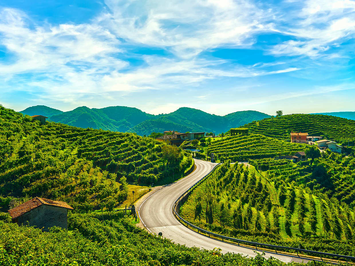 Prosecco Experience in Italy, Veneto, photo 3