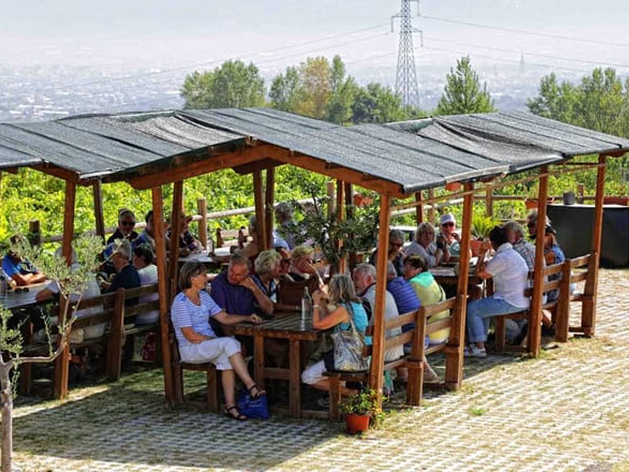 Picnic in the vineyard on the slopes of Vesuvius, photo 5