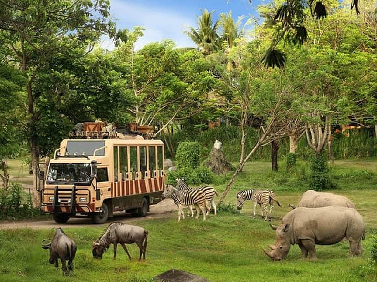Phu Quoc: VinWonders & Safari Tickets with Private Transfer