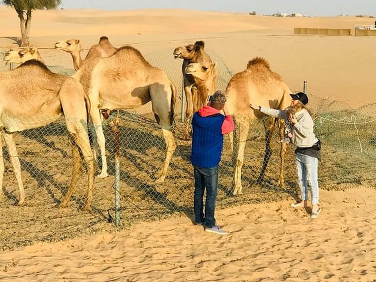 Sunrise Desert Safari with Quad bike and Sandboarding,, photo 5