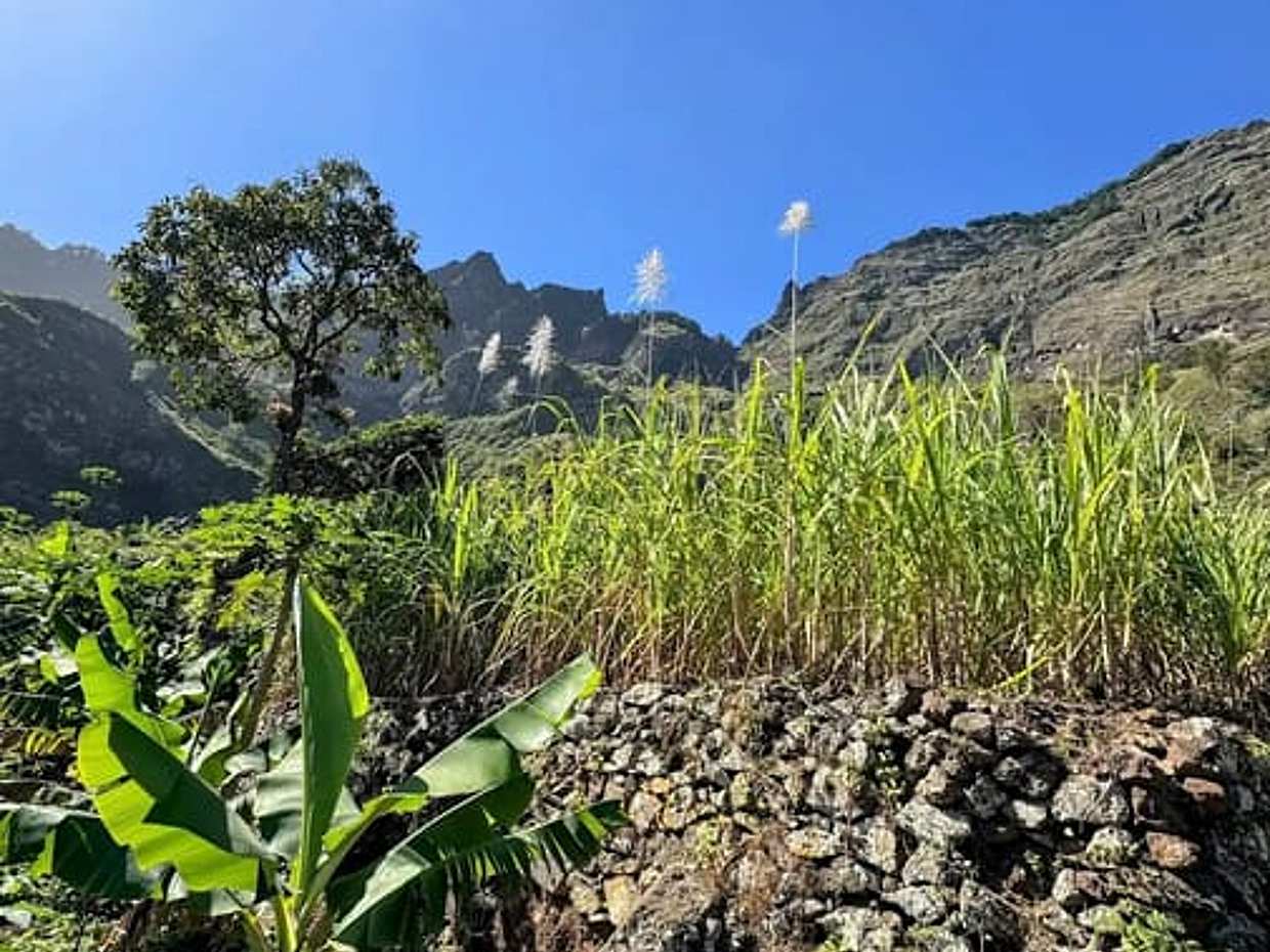 "Caminhada Assinatura de Santo Antão: Cratera de Cova até o Vale do Paúl – 5K, Cabo Verde", photo 4
