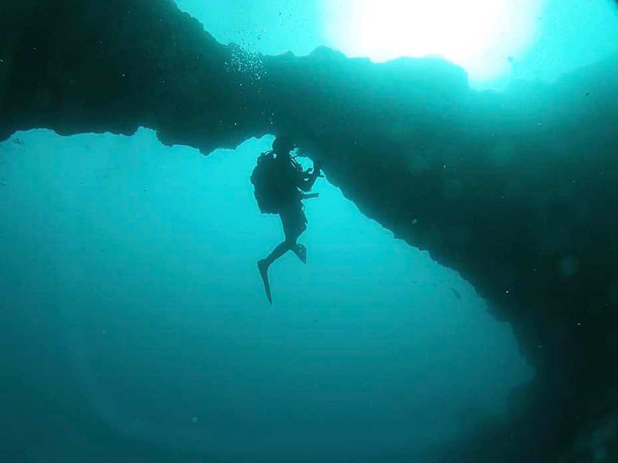 Azores: Diving in Faial Island in Portugal, photo 4