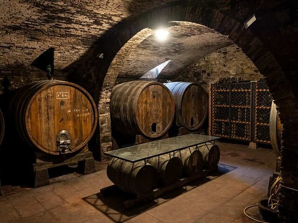 Exclusive Chianti Rufina Half Day Tour with Lunch from Florence, photo 2