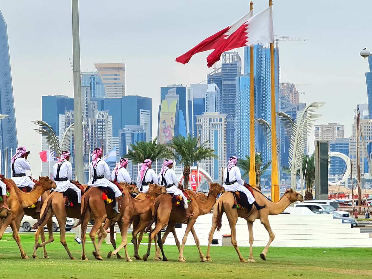 Dagtour van een halve dag door Doha in Qatar
