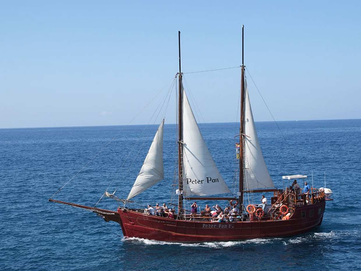 Tour with Whale Watching in Tenerife Peter Pan Boat in Spain, photo 4
