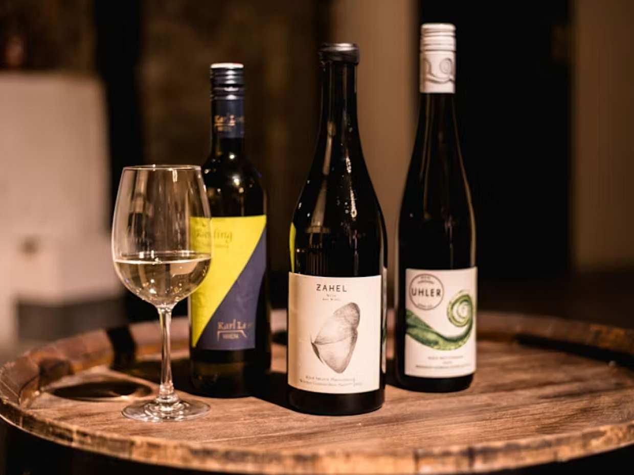 Viennese Wine Tasting in a Roman Wine-cellar in Austria, Vienna
