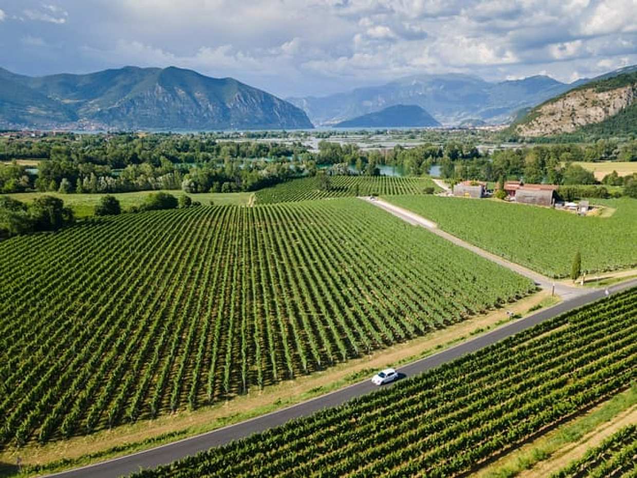 Franciacorta Wine Region & Lake Iseo Cruise From Milan: A Wine-fueled Escape With Tastings And Enchanting Landscapes, photo 3