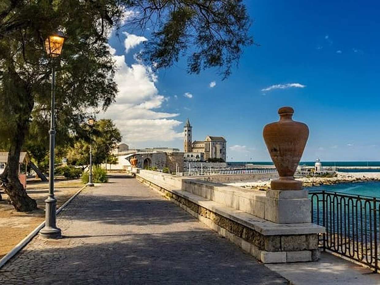Puglia - Private Guided Tour of the City of Trani, photo 3