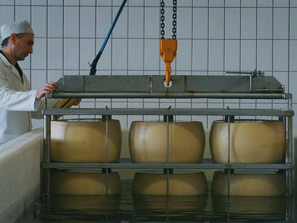 Parmigiano-Reggiano Käserei Kleingruppen-Tour Ab Parma in Italien, photo 4
