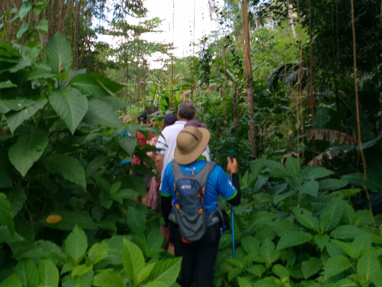 Bali Undisan Village, Posvátný les a trekking k vodopádům v Indonésii
, photo 3