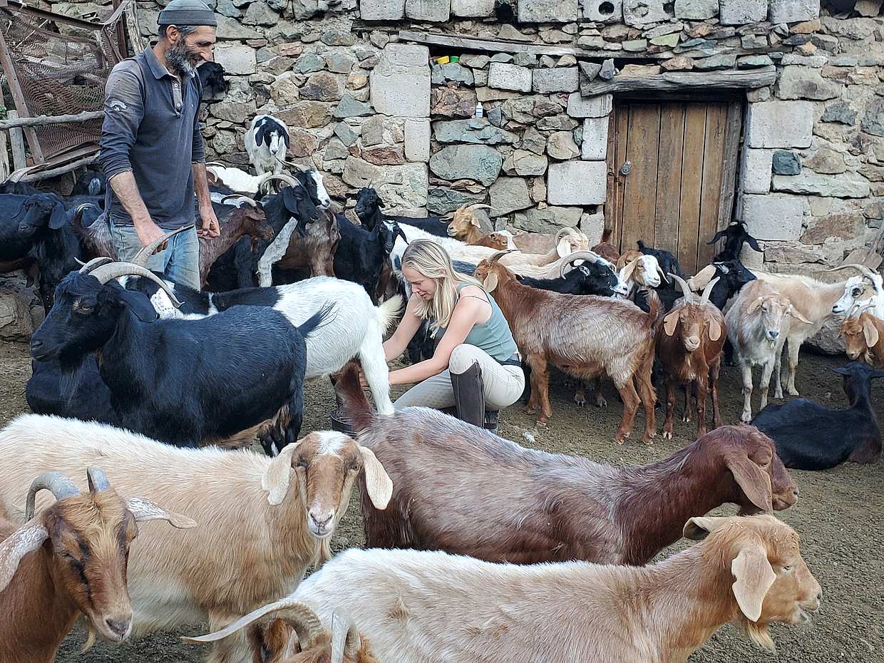 2-day Mountain Horse Riding in Armenia, Lori Province, photo 4