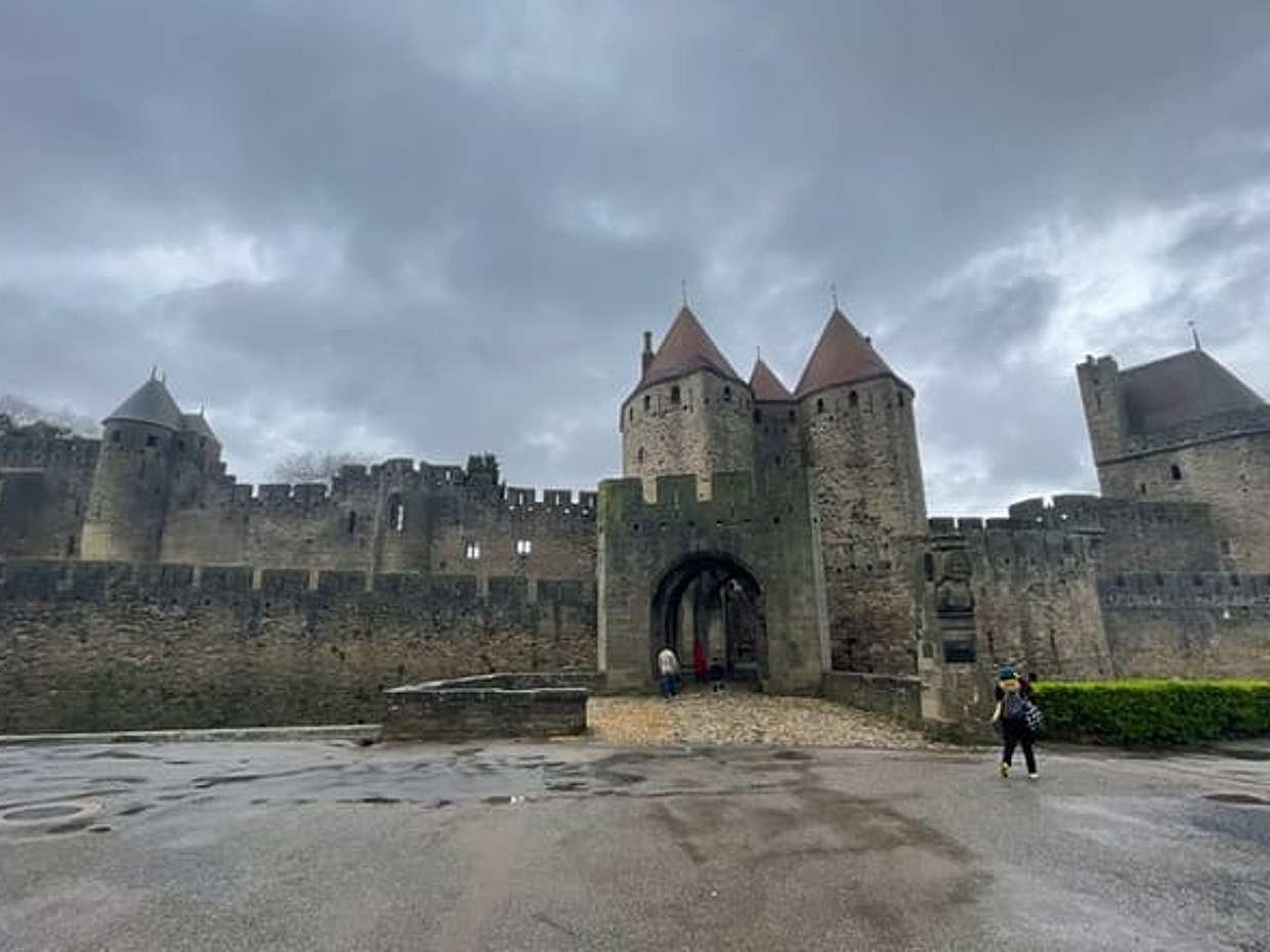 Private Shore Excursion to Narbonne and Carcassonne from Sète, photo 4