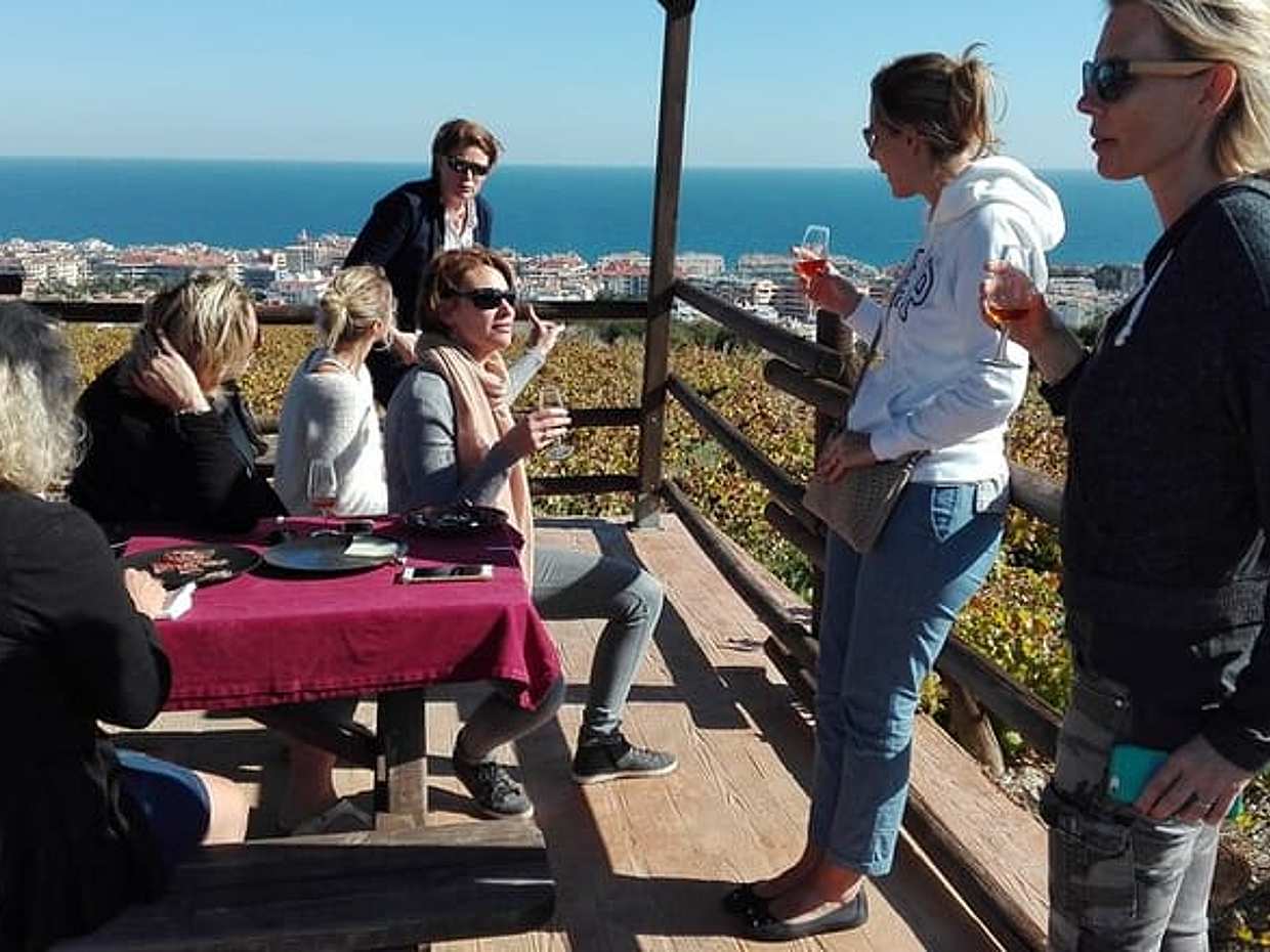 Manilva Oceanfront Wein-Erlebnis in der Gegend von Marbella, Spanien, photo 3
