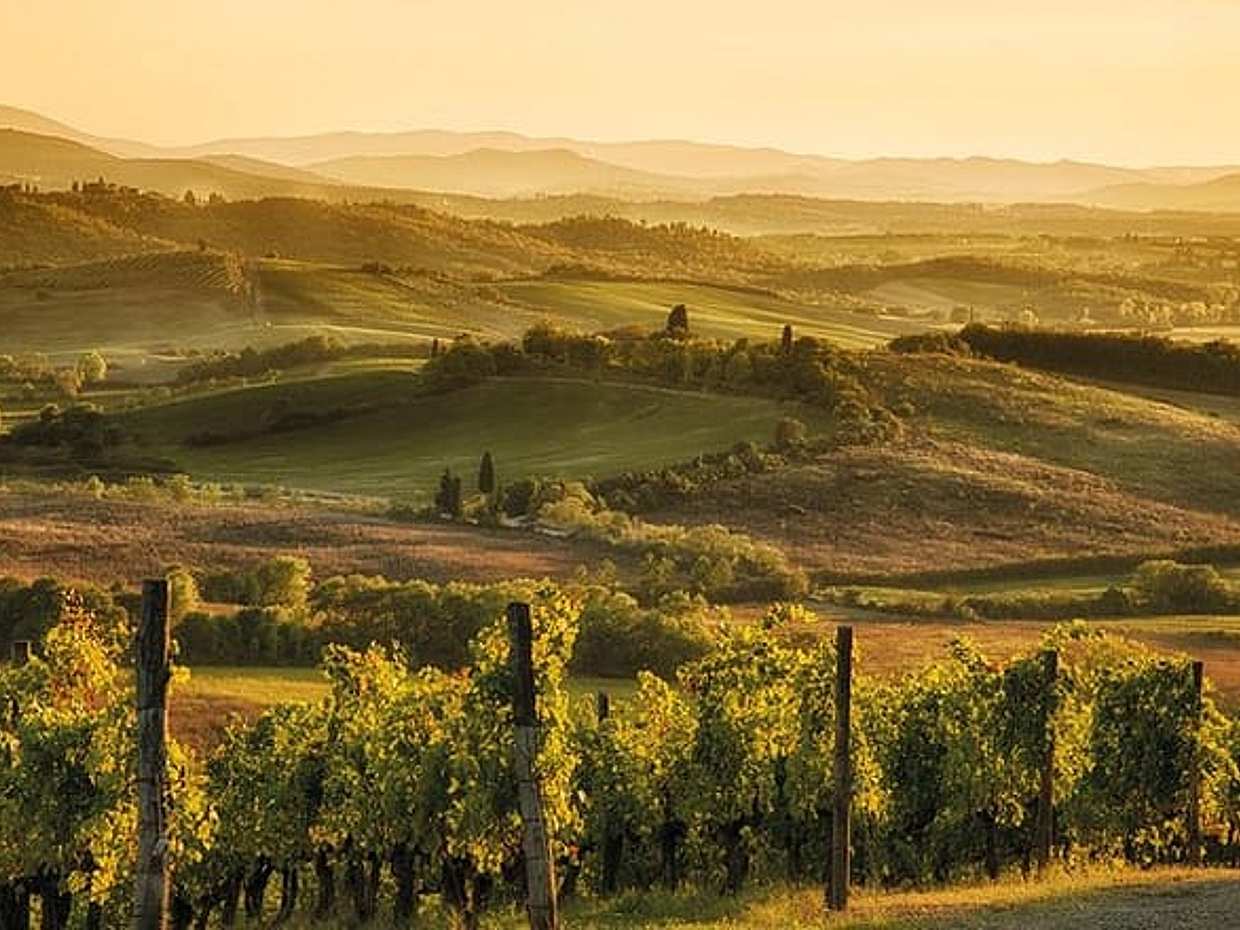 Z Sieny: Jednodenní výlet do Pisy a San Gimignana v Itálii, photo 2