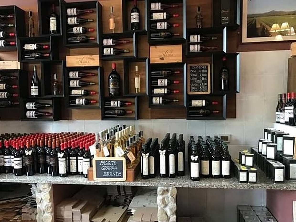 Exclusive Private Bolgheri Experience from Florence: The Land of the Super Tuscan, photo 3