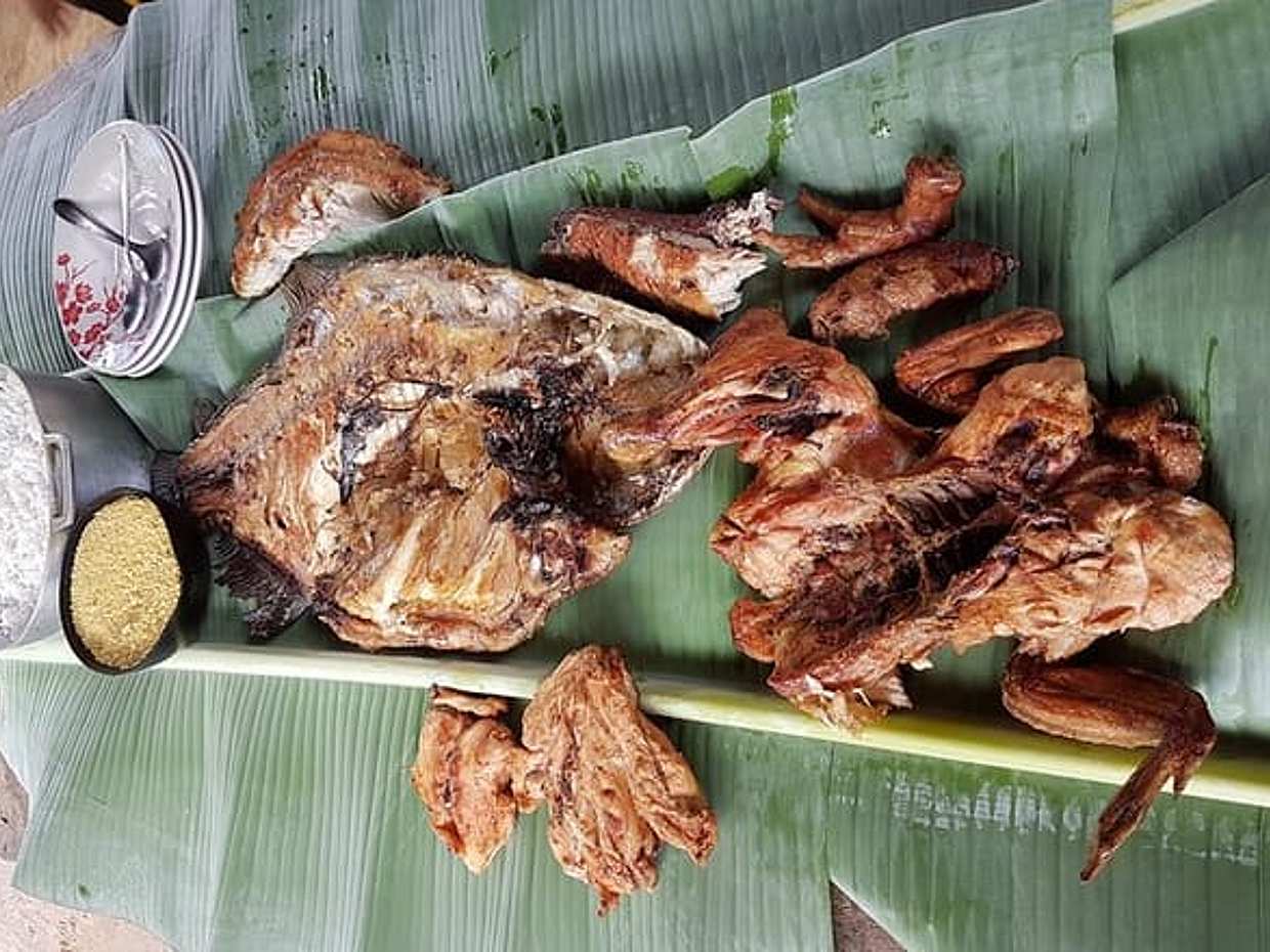 "Ritual Indígena de Formigas Tucandeiras no Brasil, Manaus", photo 4
