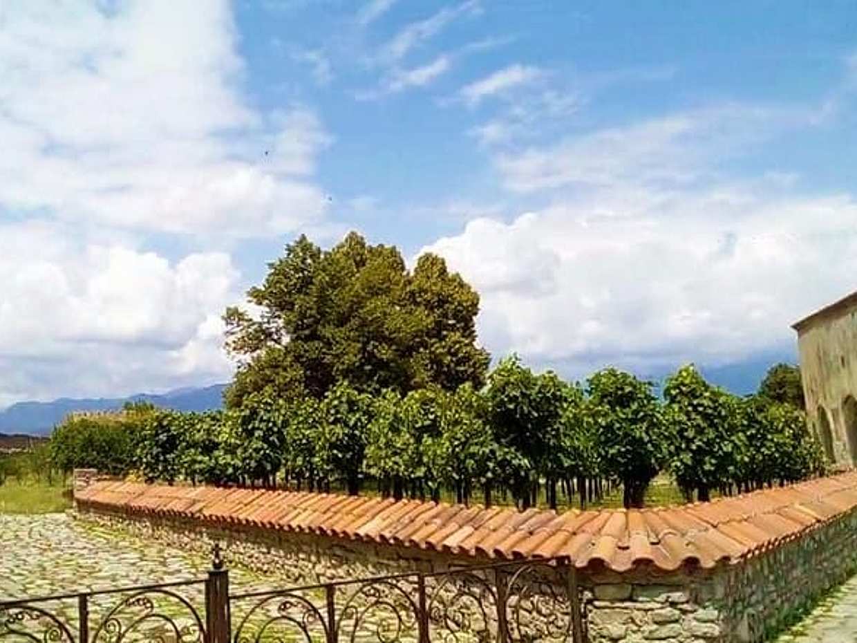 Descubre Pankisi: Aventura en Duisi, Akhmeta y Khadori en Georgia, Tiflis, photo 3