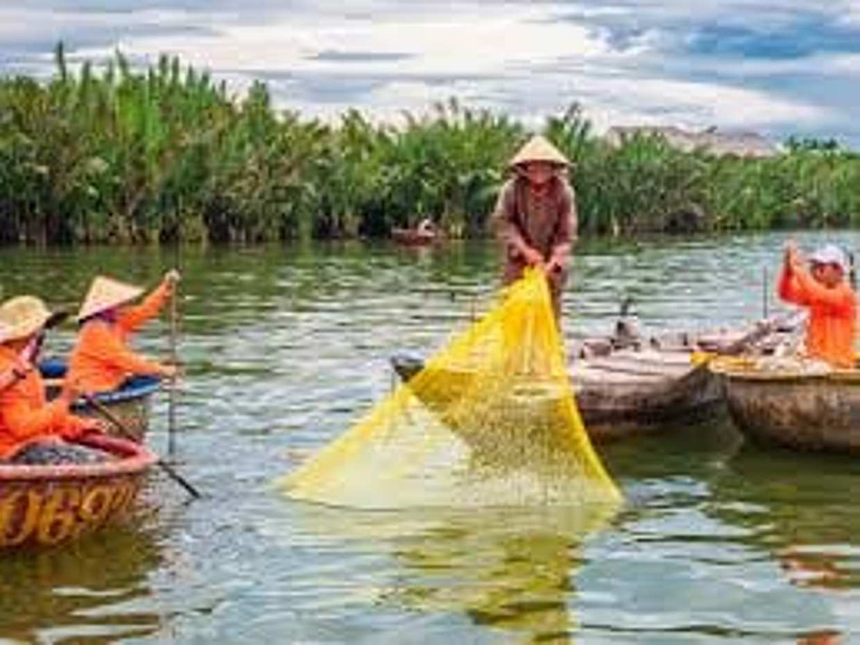 Hoian Town Tour With Basket Boat & Lantern Release From Danang