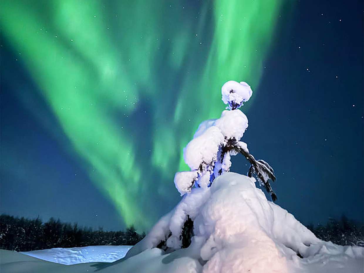Northern Lights Guarantee Tour — Unlimited Distance Aurora Hunt, Levi, photo 5