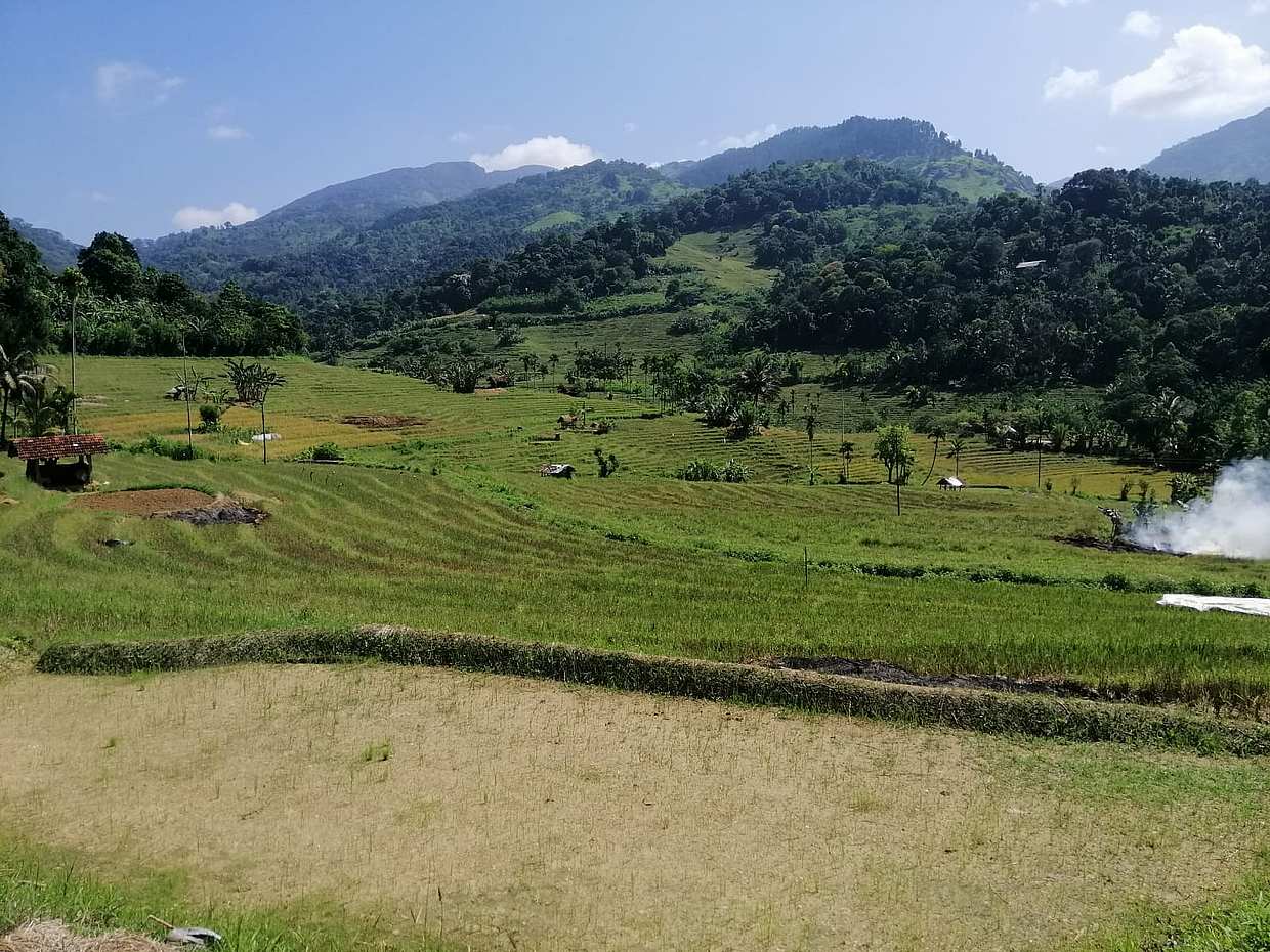 Von Kandy private geführte Wanderung zum Knuckles Mountains Heeloya Village in Sri Lanka, photo 5