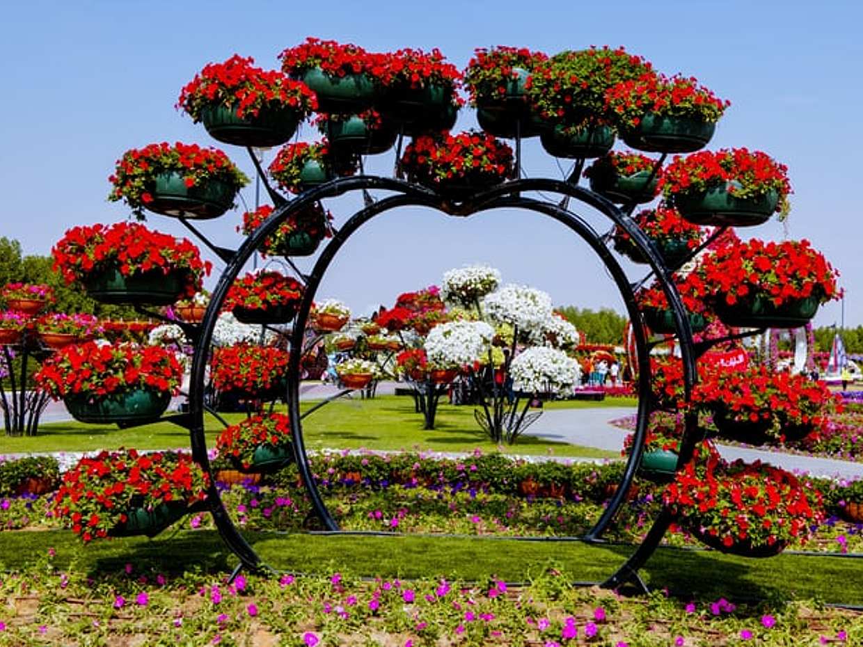Dubai Miracle Garden Ticket, United Arab Emirates, photo 4