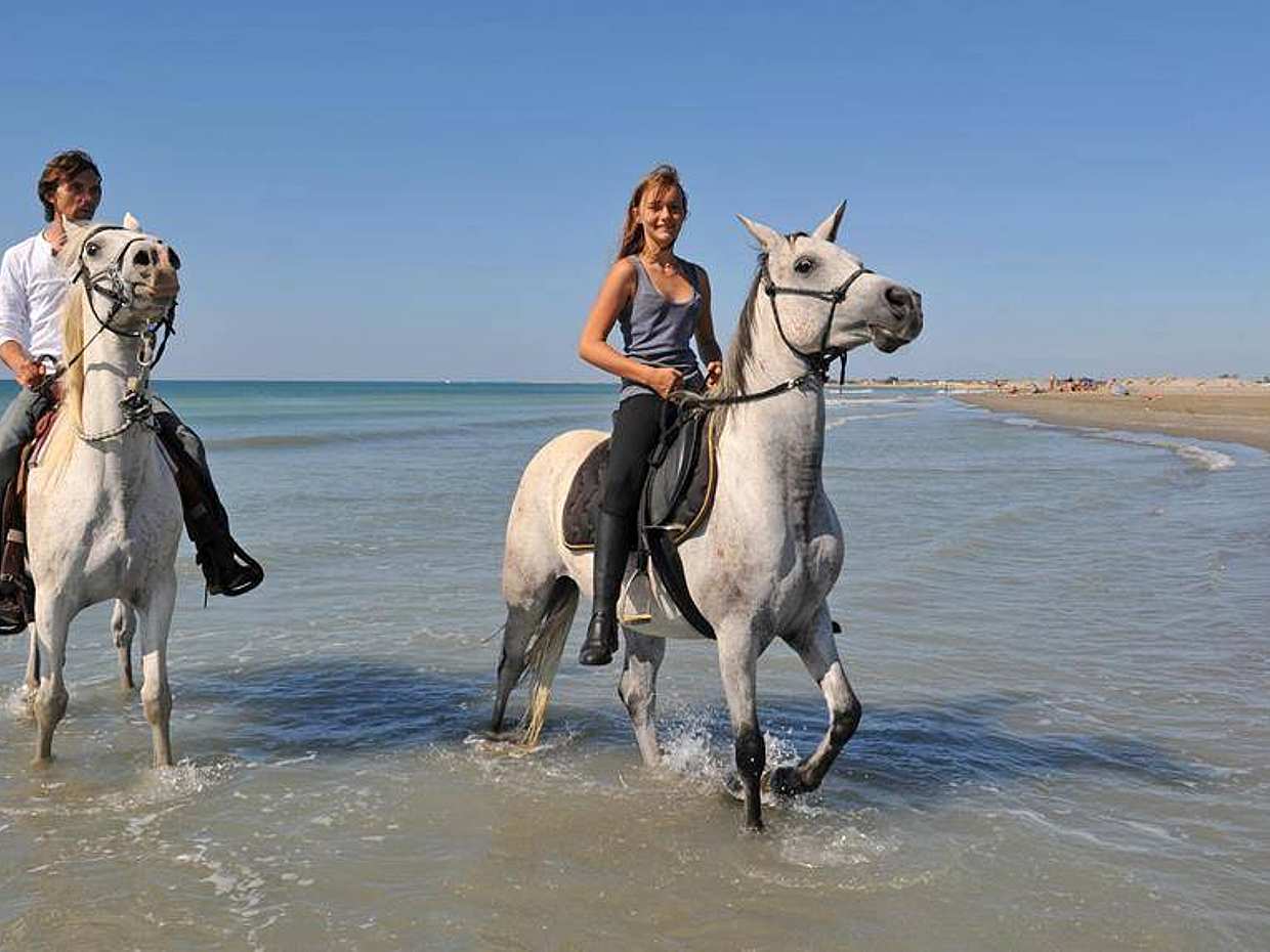 Safari konne na koniach w Sharm El Sheikh w Egipcie, Sharm El-Sheikh.
