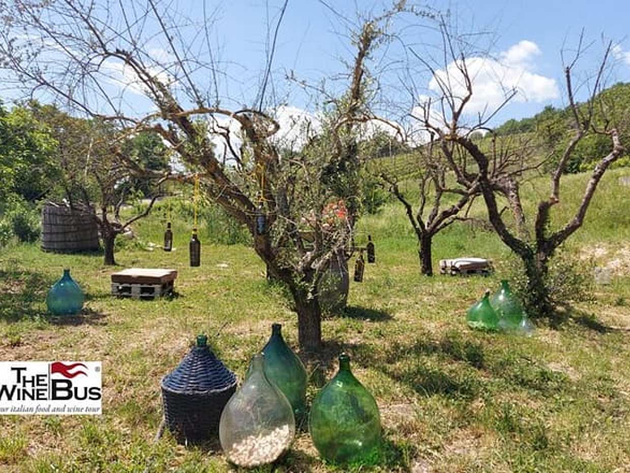 Private Irpinia Wine Tour from SORRENTO with sommelier, photo 5