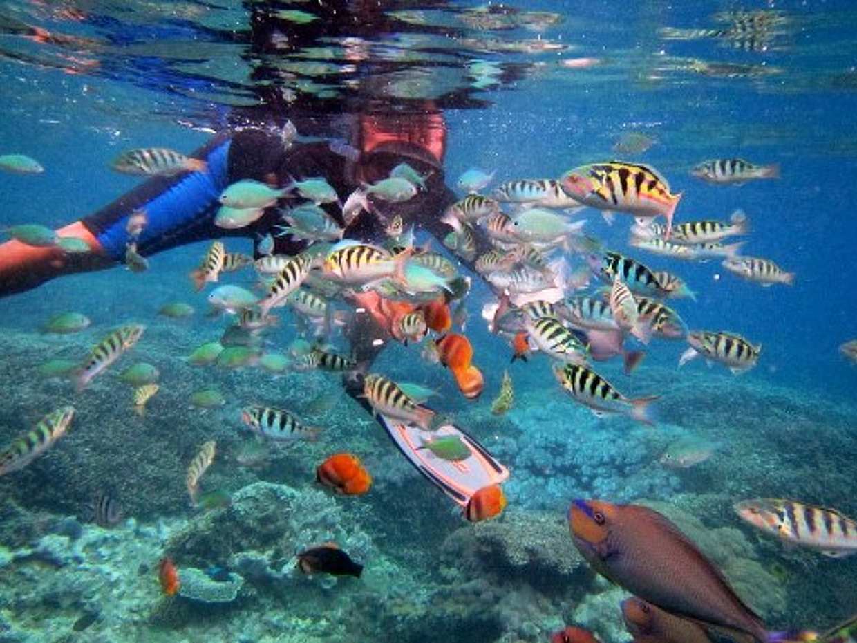 Esperienza di catamarano di lusso di un'intera giornata a Bali, photo 5