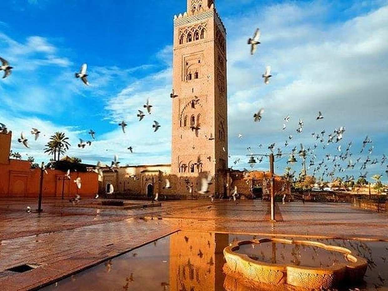 Marrakech City tour: Private Half-Day Guided City Tour, photo 3