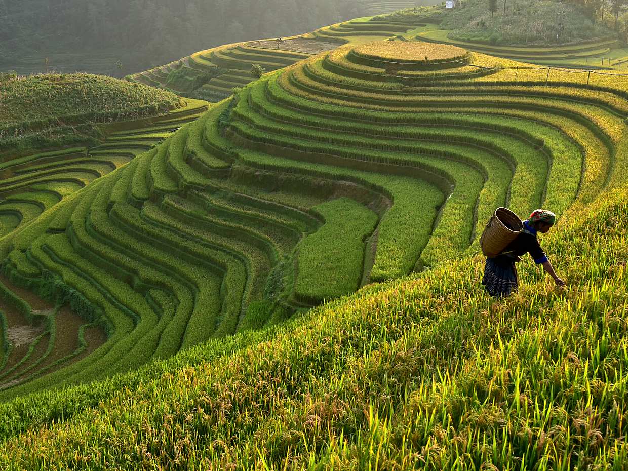 Full-day Bali Private Trip by Car, Indonesia