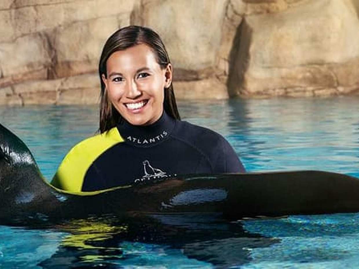 "Sea Lion Discovery, Emiratos Árabes Unidos"
