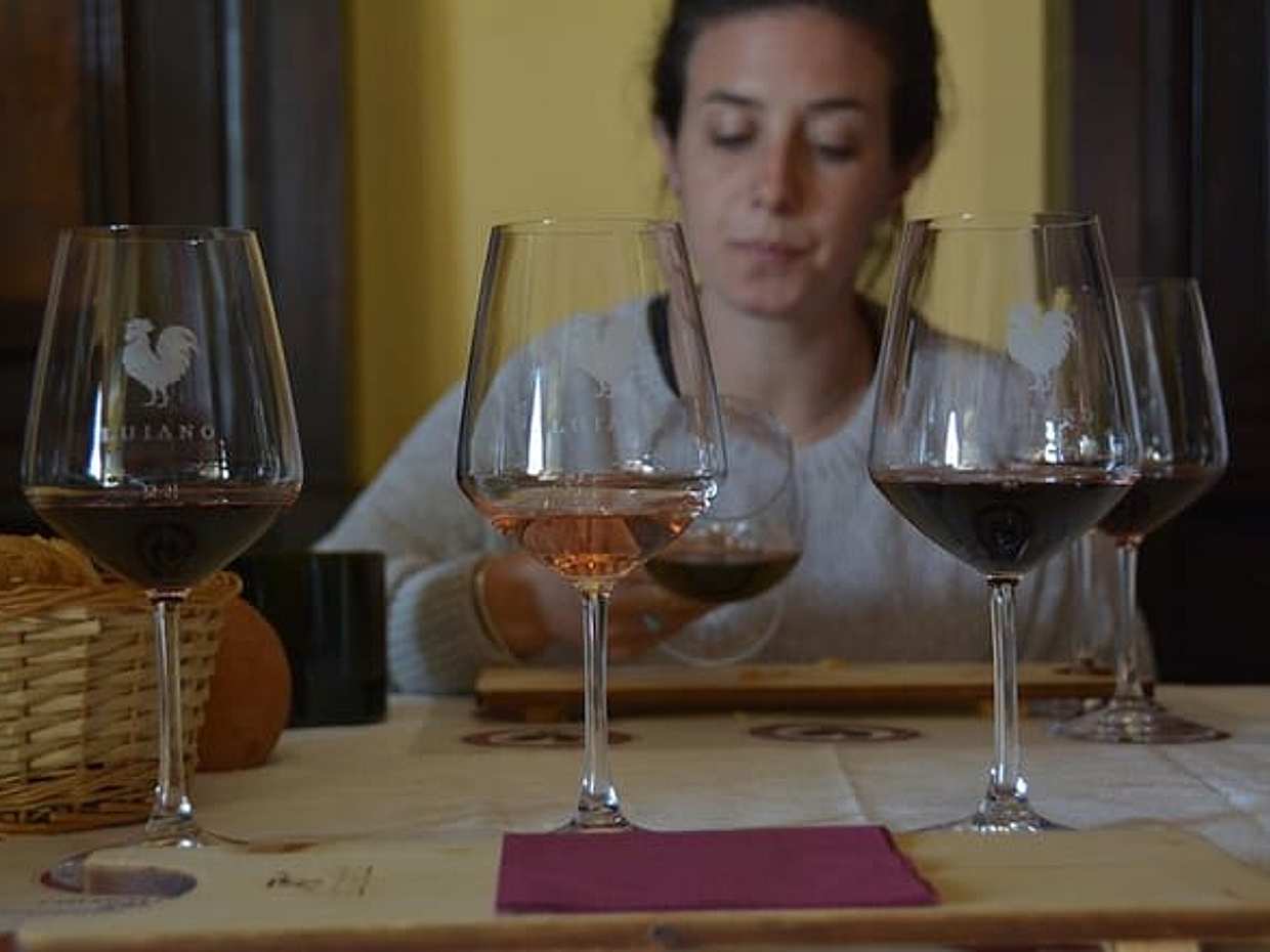Exclusive Private Chianti Montespertoli with Lunch Half Day from Florence, photo 4