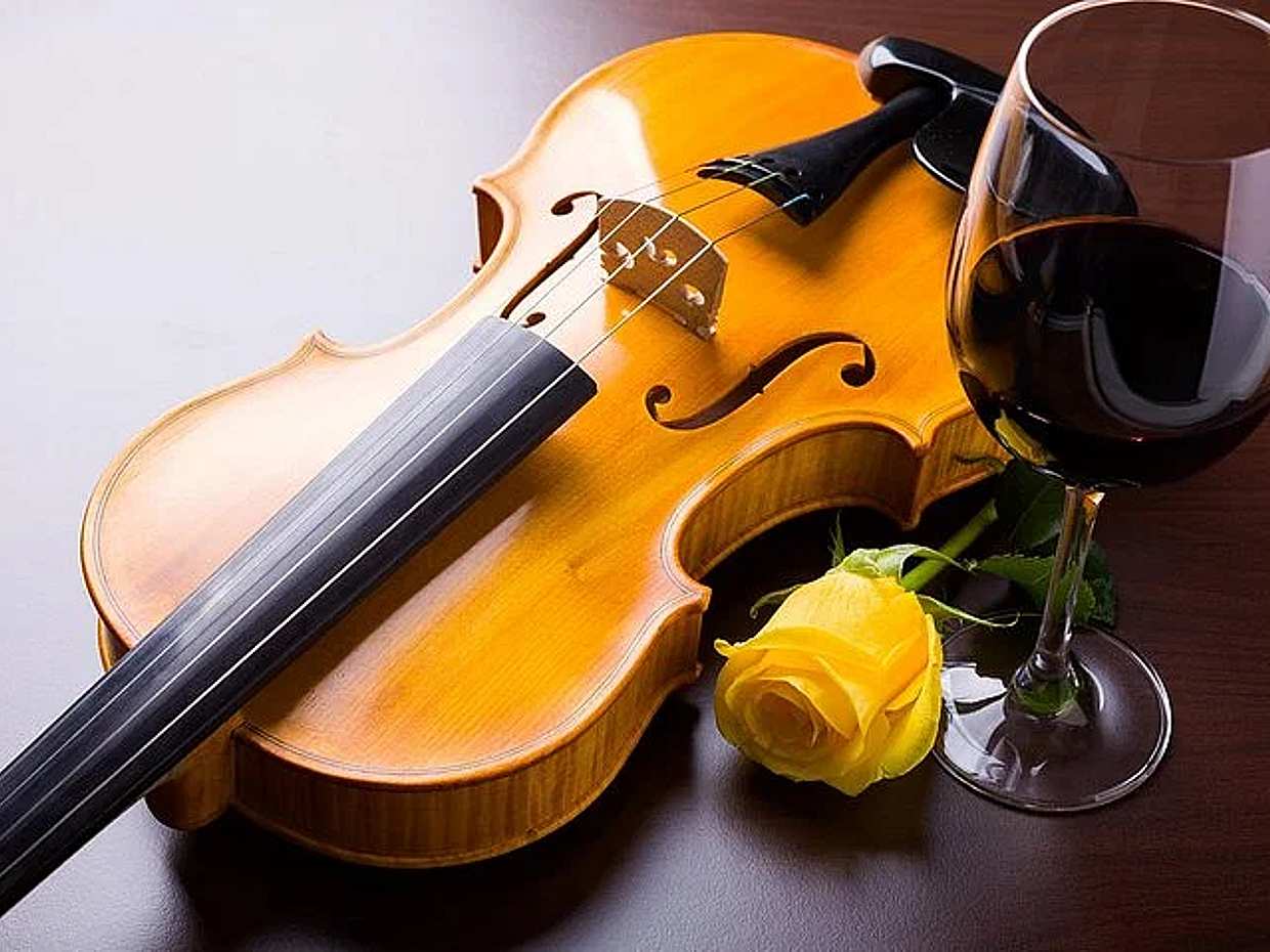 Musikalischer Aperitif. Konzert und Verkostung lokaler Produkte in Frankreich, Marseille
