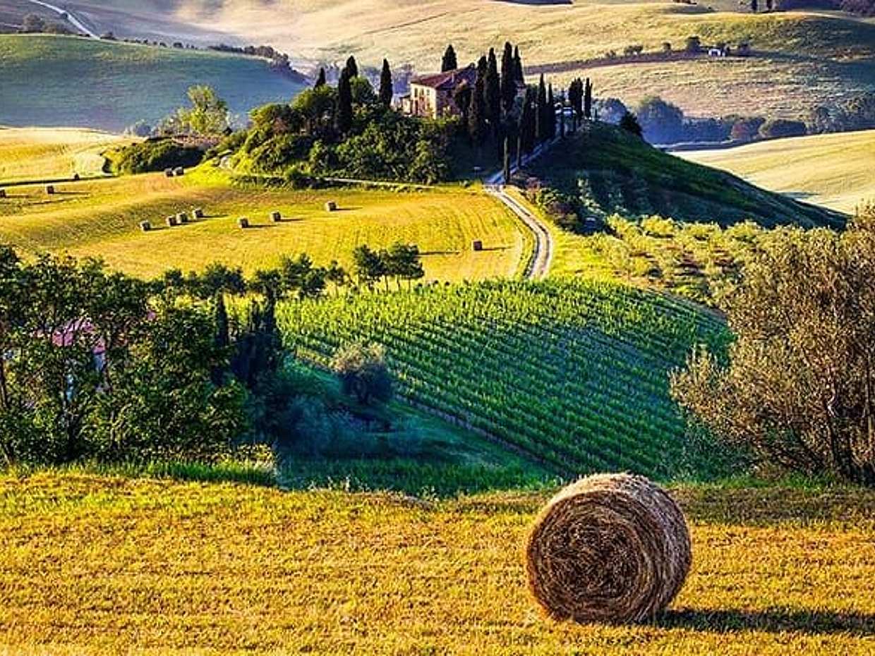 Val d’Orcia Weintour mit Mittagessen & Brunello ab Florenz in Italien