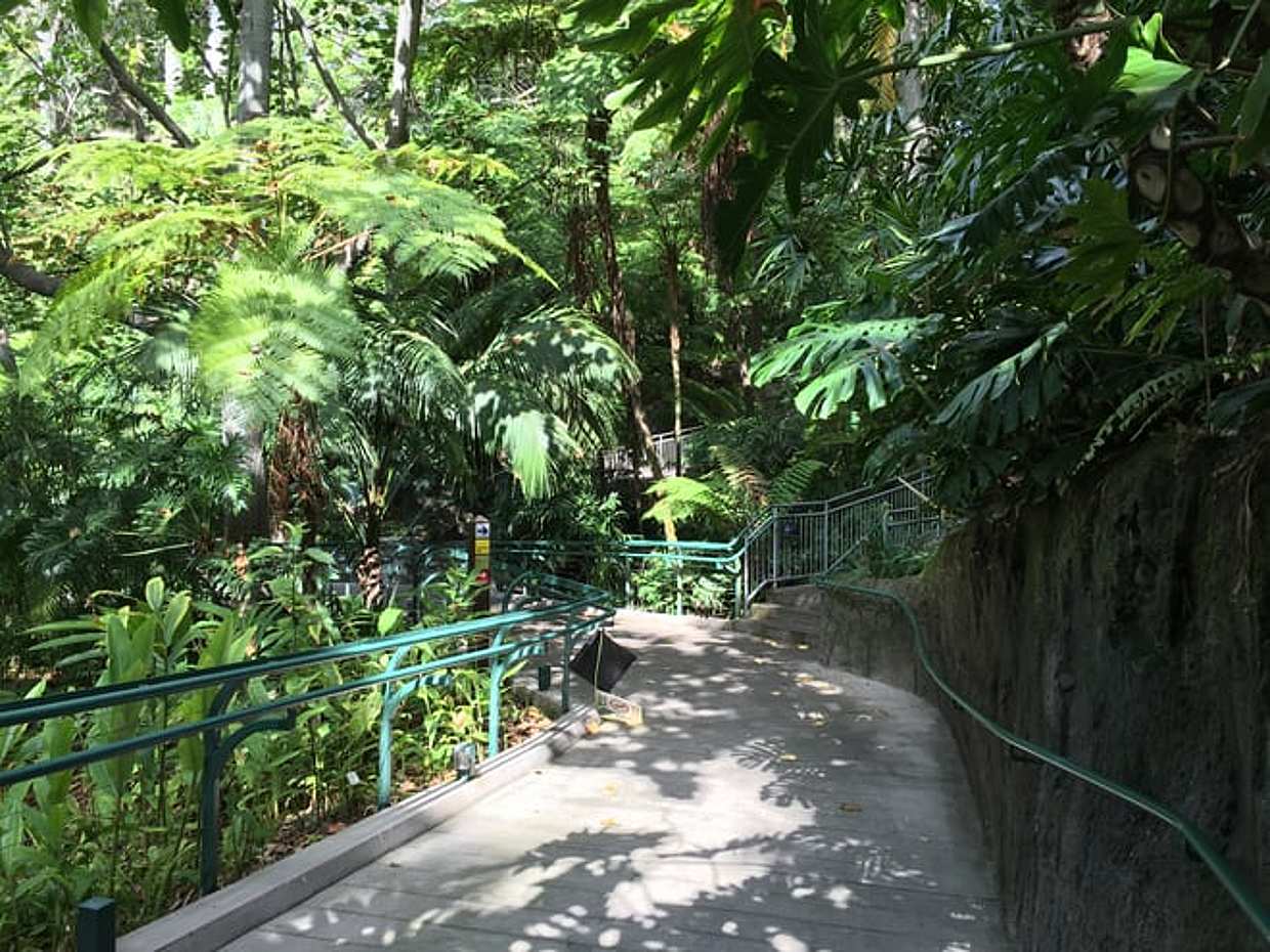 圣迭戈卧底小组,美国, photo 3