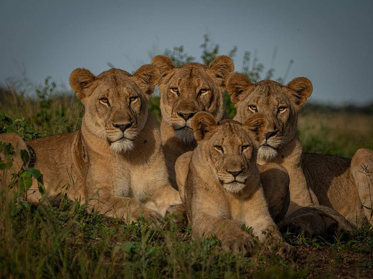 3-Day Private Safari to Tarangire, Lake Eyasi and Ngorongoro Crater, photo 2