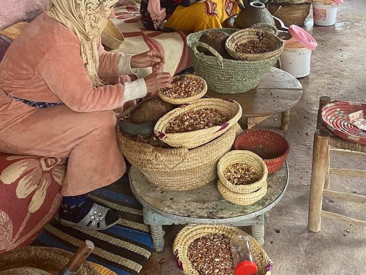 Marrakech: Atlas Mountains, Ourika Valley, Waterfall with Lunch in Morocco, Marrakesh, photo 3